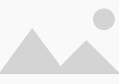 wood blog placeholder