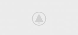 Home Alternative-energy 3 wood gallery placeholder 2