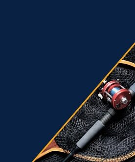 home section promo banner1