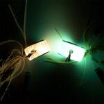 Oceanic Tai Rubber Sauron Rusty Hook 2026-02-15